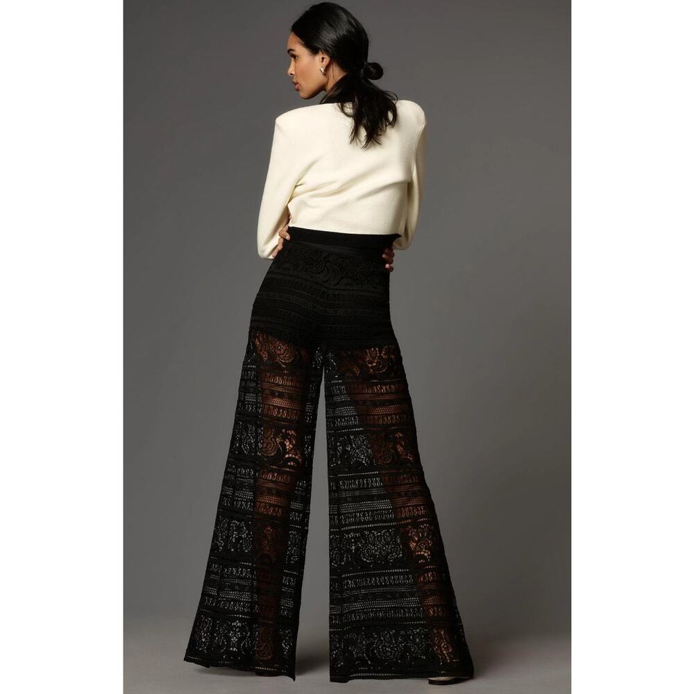 Maeve Lace See Through Coquette Wide Leg Pants Anthropologie